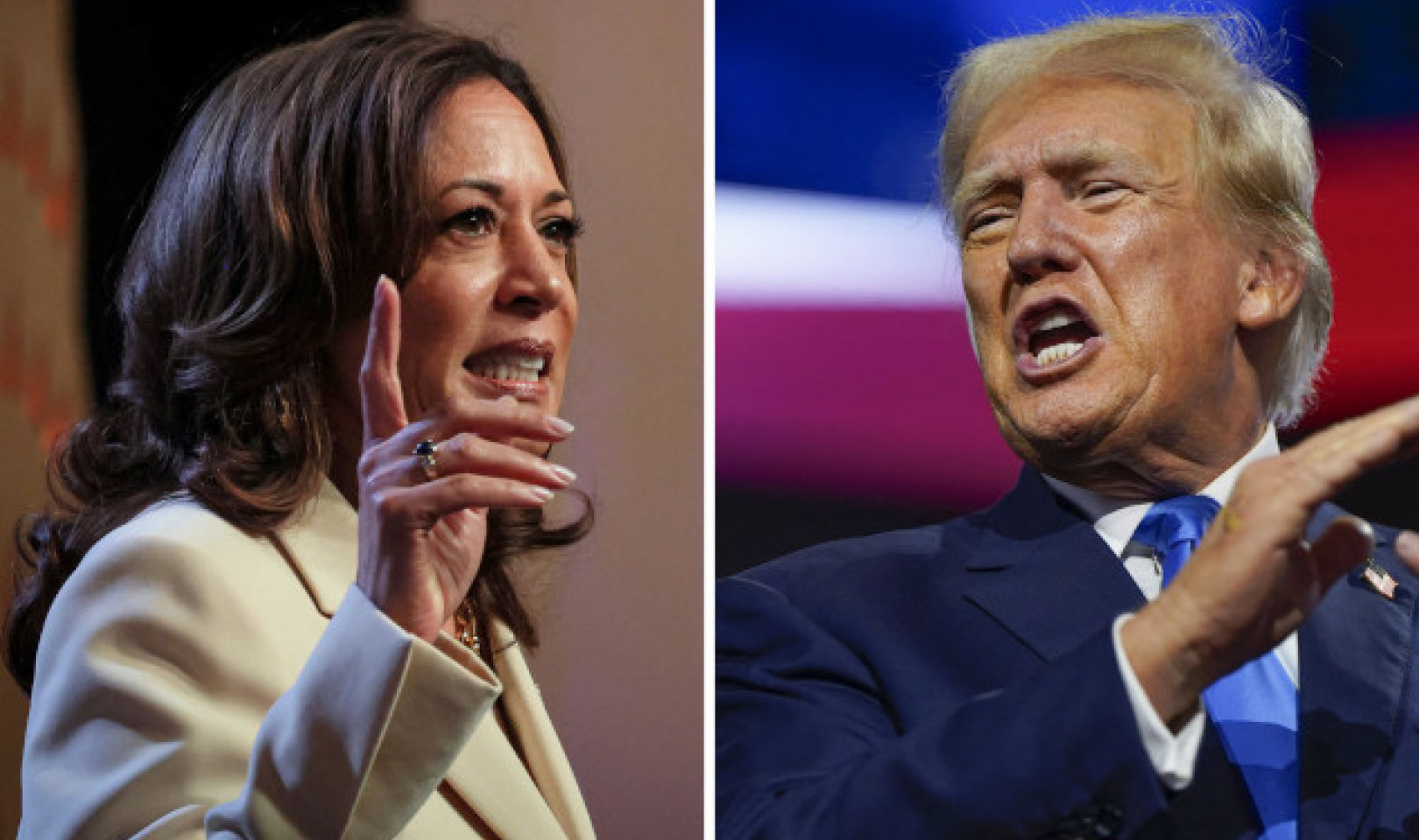 2024 Business Decision: Vote Harris or Trump?