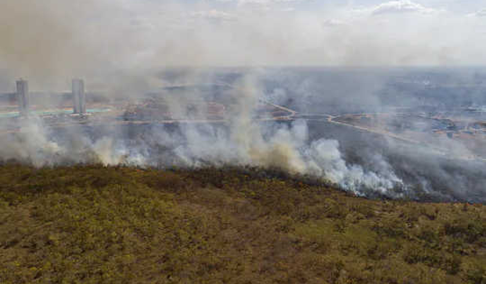 Why Amazon Fires Trap Farmers Into Poverty and Into Setting More Fires