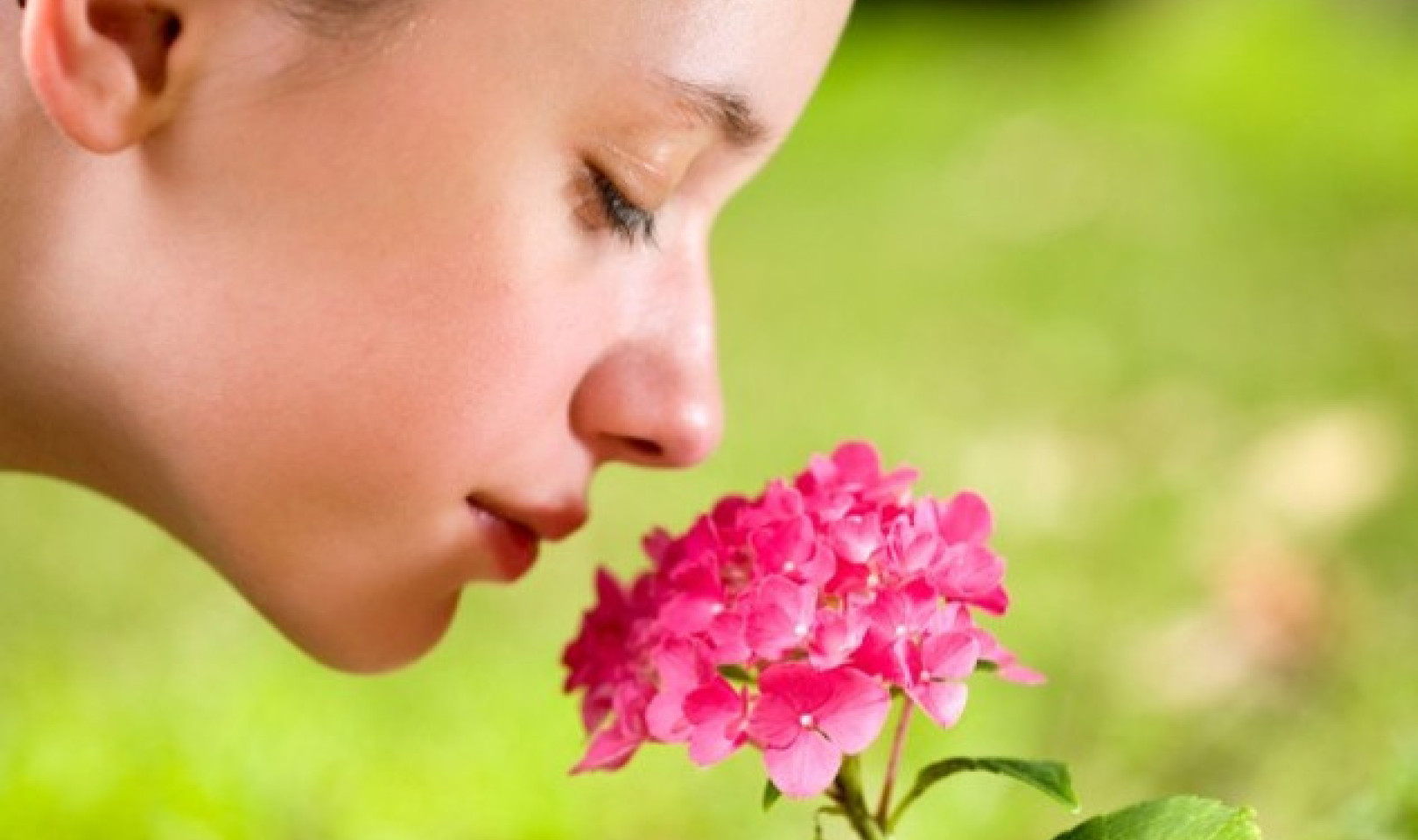 How Smell Loss Reveals Health Risks Linked to Inflammation