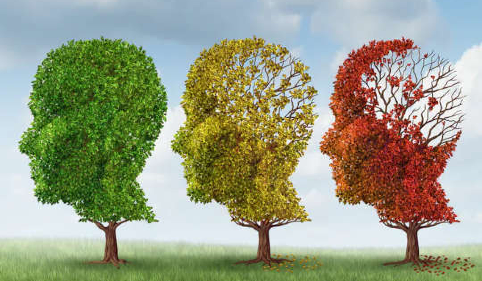 Why Don't We Have A Cure For Alzheimer's Disease?