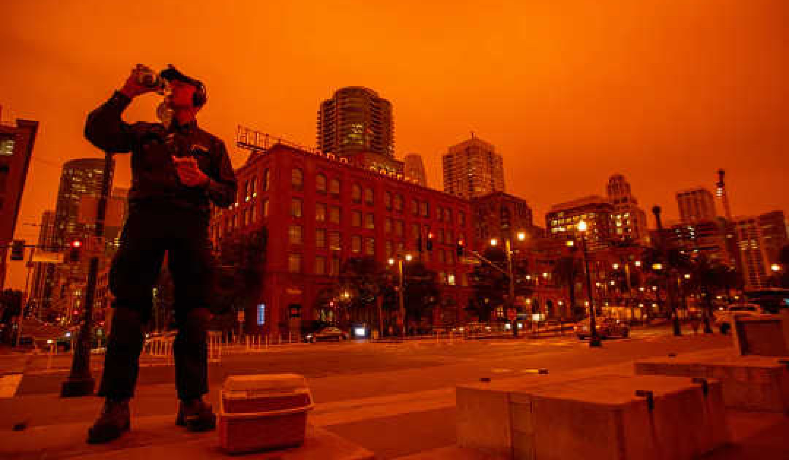 Wildfire Smoke Is Laced With Toxic Chemicals – Here's How They Got There