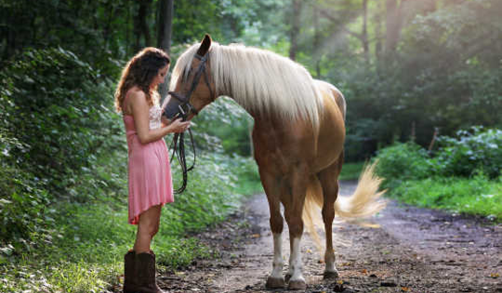 Horses And Pigs Can Also Tell If You’re Positive Or Negative