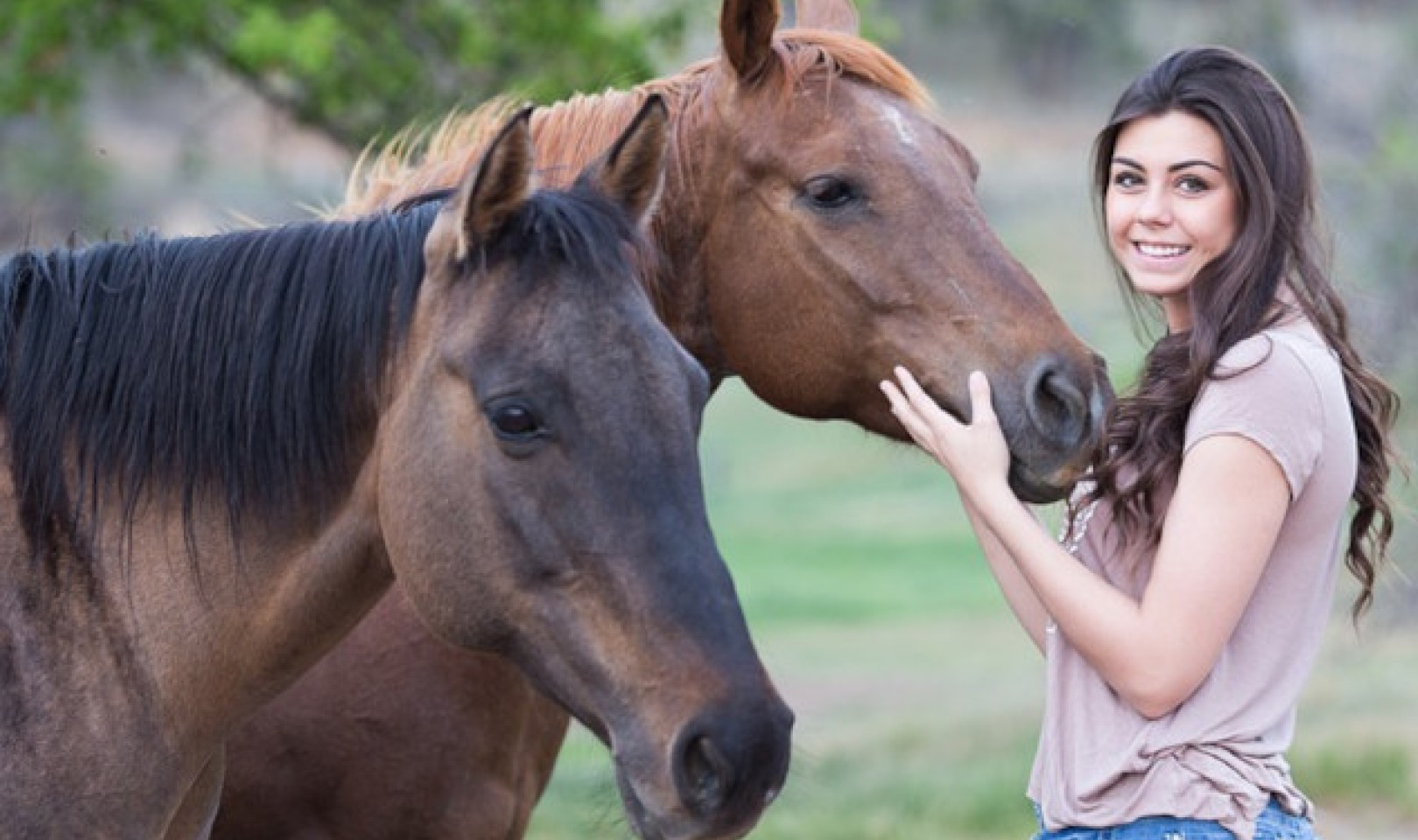 What Horses Can Teach Us About Life