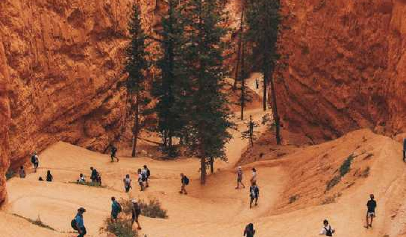 Summer Visitors To American Parks Choose Safety First Over Freedom To Roam