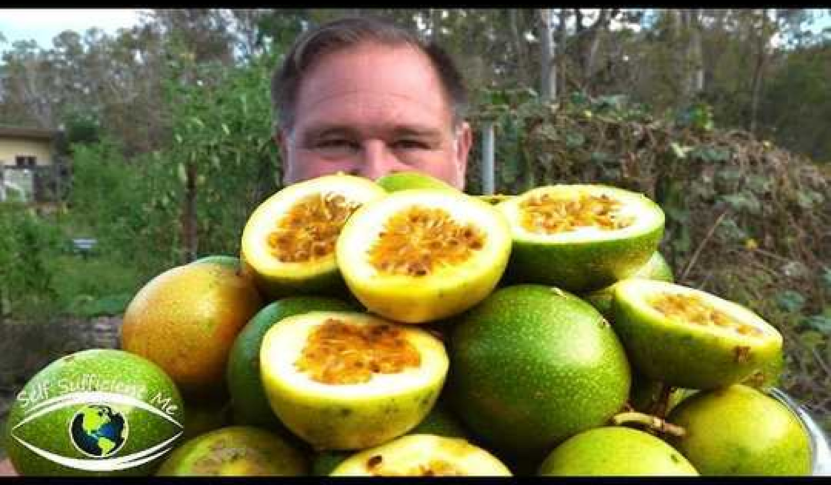 5 Tips How To Grow a Ton of Passionfruit From One Passion Fruit!