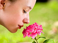 A close-up of a person gently holding a flower near their nose with eyes closed, symbolizing the sense of smell.