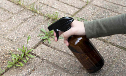 Natural methods to prevent weeds from growing in concrete cracks, including boiling water, vinegar, baking soda, and salt.