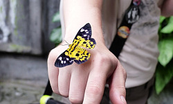 a butterfly sitting on a person's hand