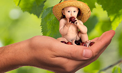 a small baby eating fruit and sitting in an oversized hand