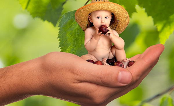 a small baby eating fruit and sitting in an oversized hand