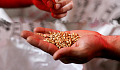 a hand dropping seeds into someone else's hand