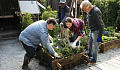 working in the garden for health 5 10